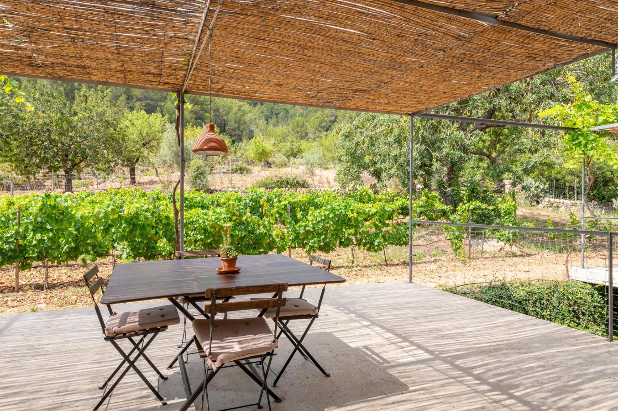 Agroturismo Filicumis By Mhr Lloseta Oda fotoğraf